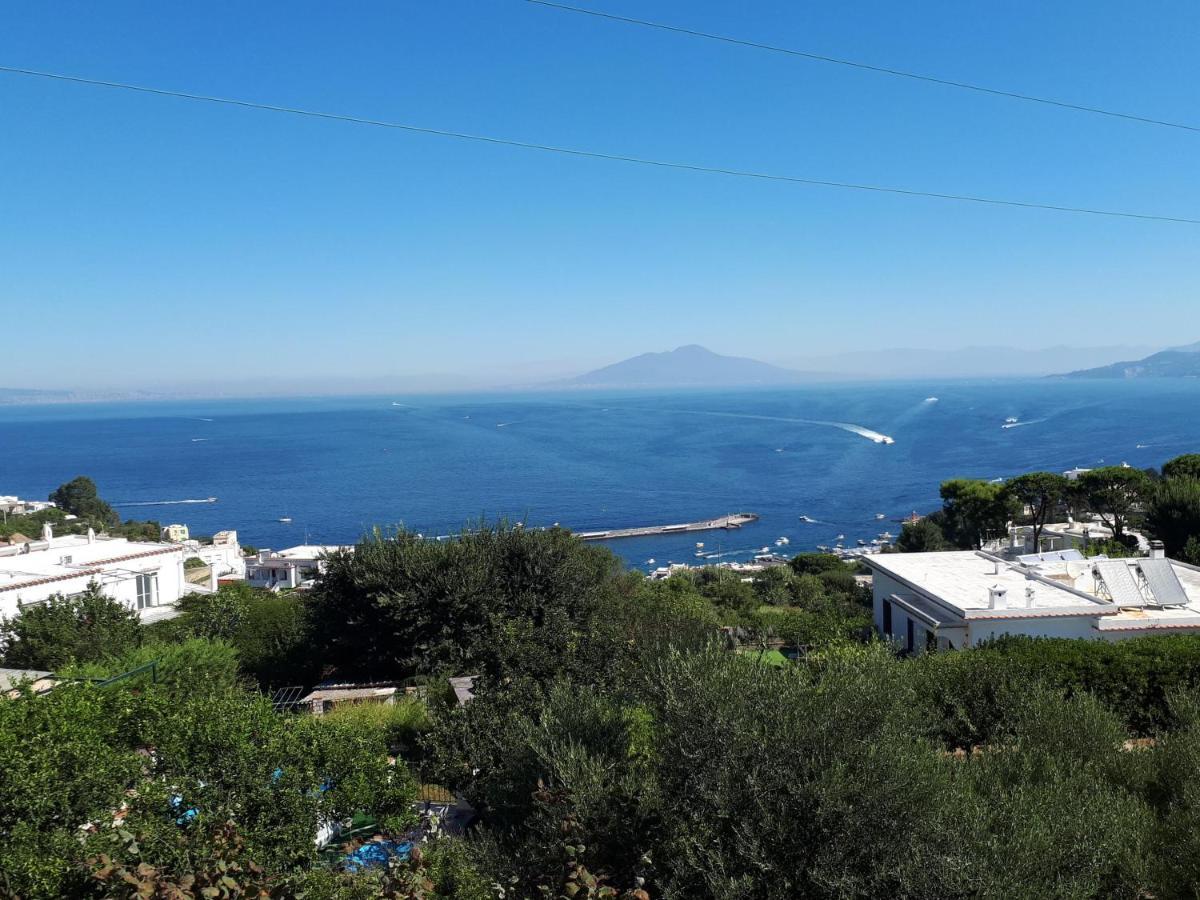 Lilli's House In * Capri