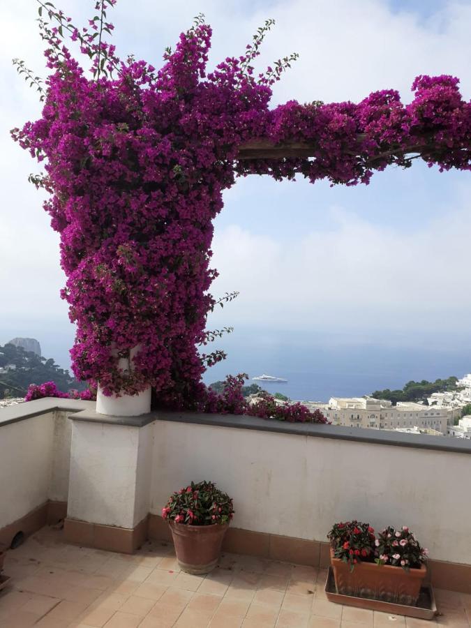 La Terrazza