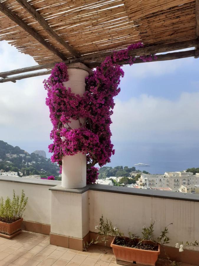 La Terrazza Holiday home Capri