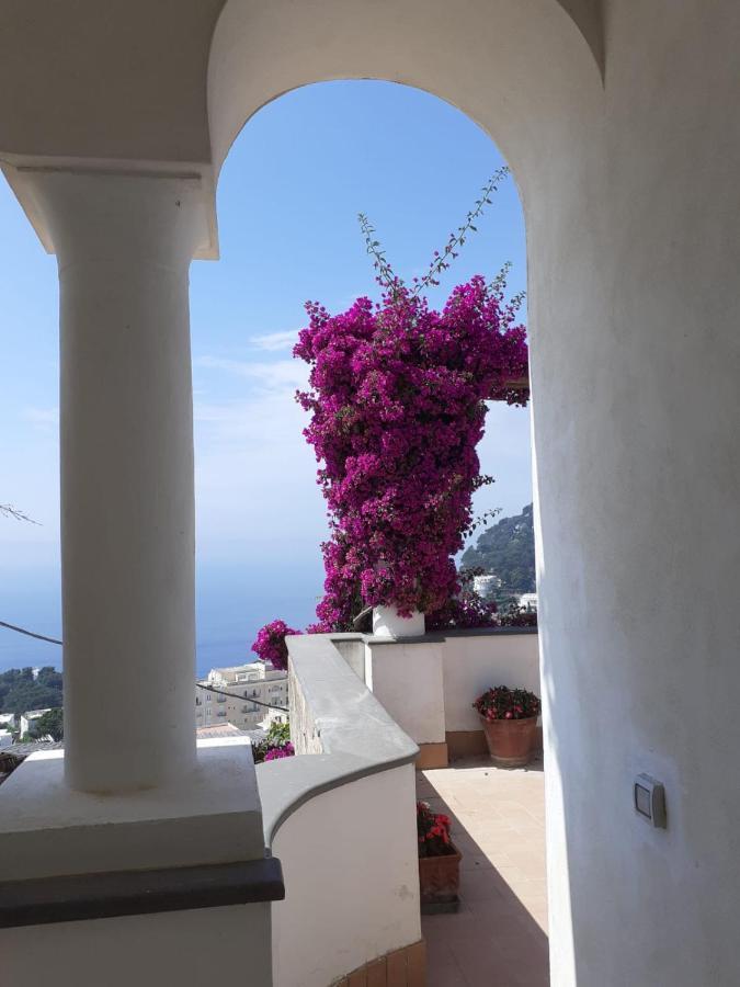 La Terrazza