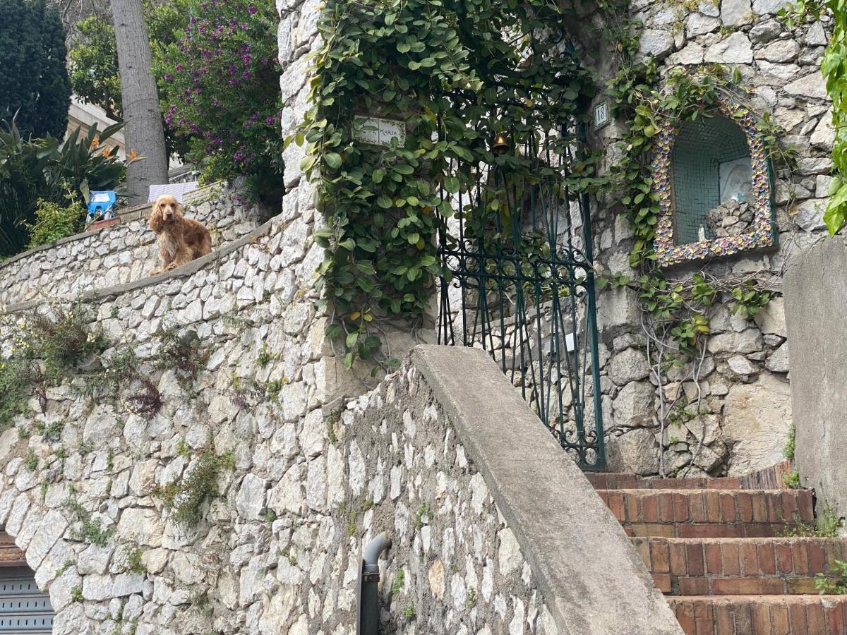 Apartamento Regina Di - Vista Faraglioni *
