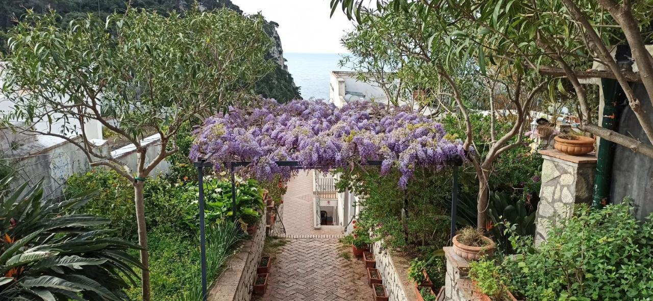 4 Stagioni Capri