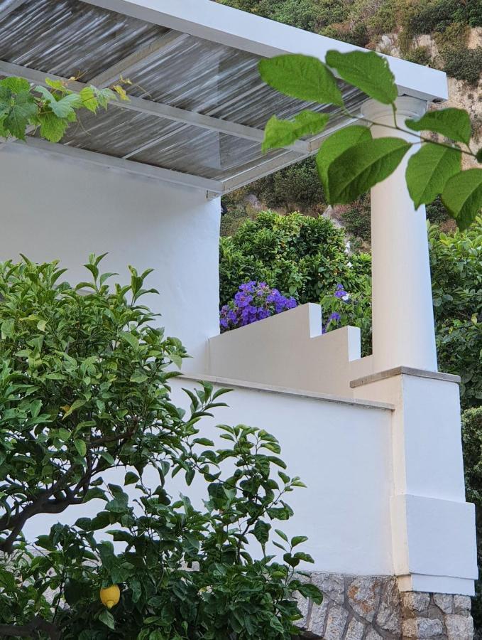 Nautilus Hotel Capri