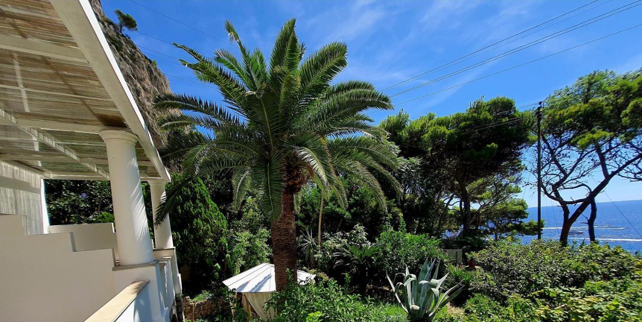 Hotel Nautilus 3*