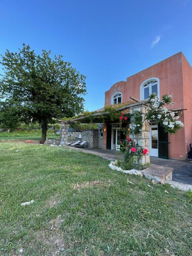 Alba Bed & Breakfast *