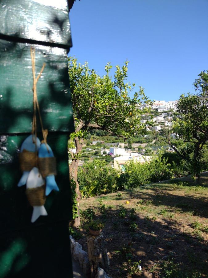 Depandance Casa Paolina