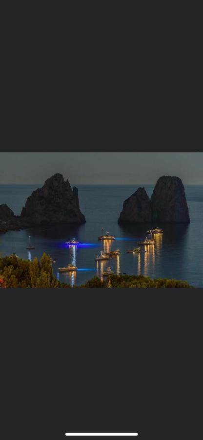 Olga Luxury 2*