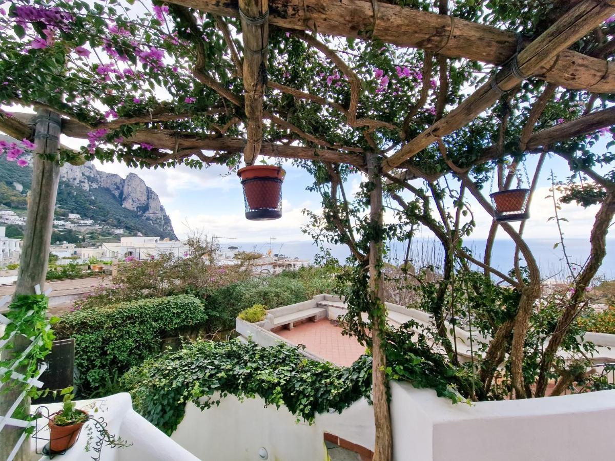 Guest house Il Cantuccio
