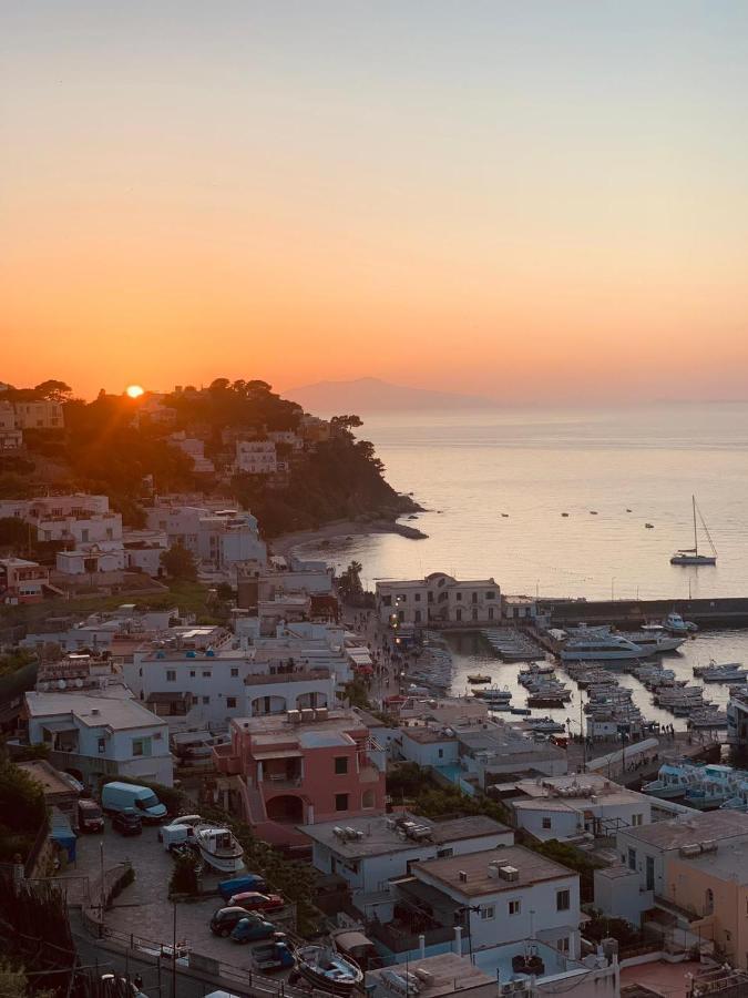 Bed & Breakfast L'agapanto