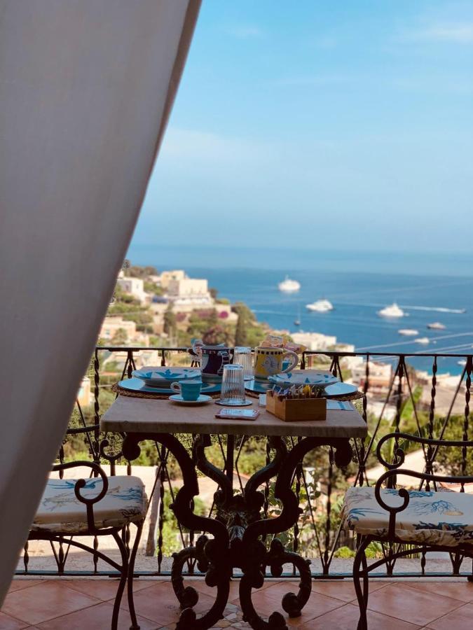 L'agapanto Capri
