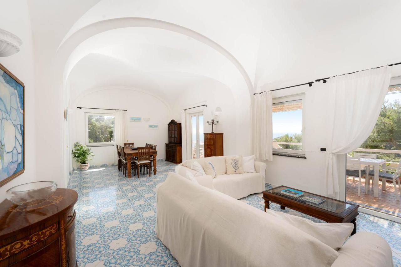 Oliveto Apartment