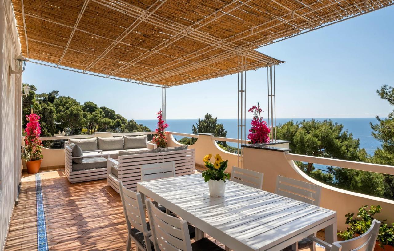 Apartment Oliveto *