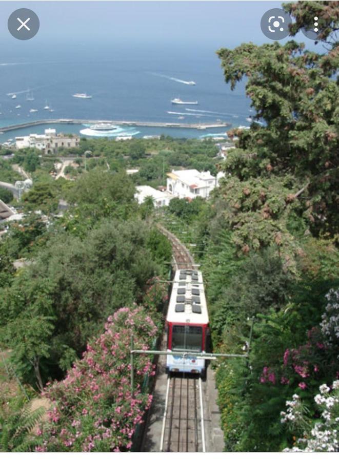 Aquarium Family - Vacation Holiday home Capri