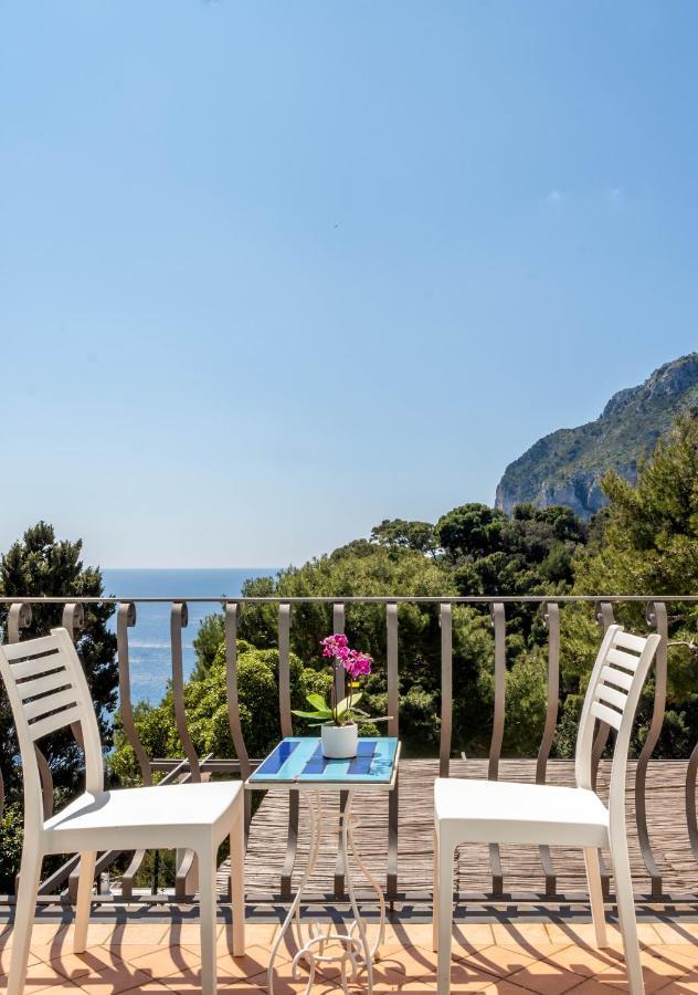 Apartment Oliveto Capri