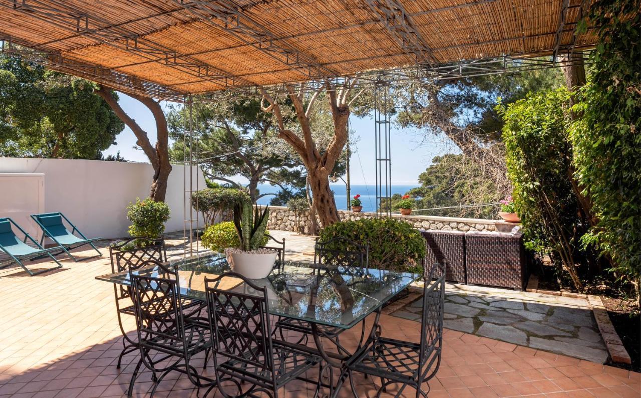 Oliveto Apartment