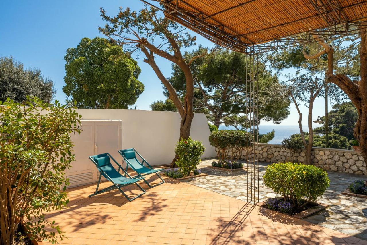 Apartment Oliveto