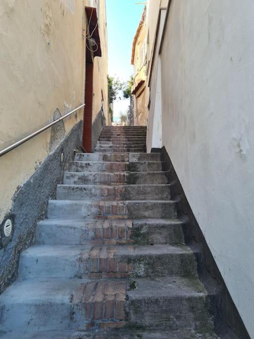 Apartment Casetta Mirella *