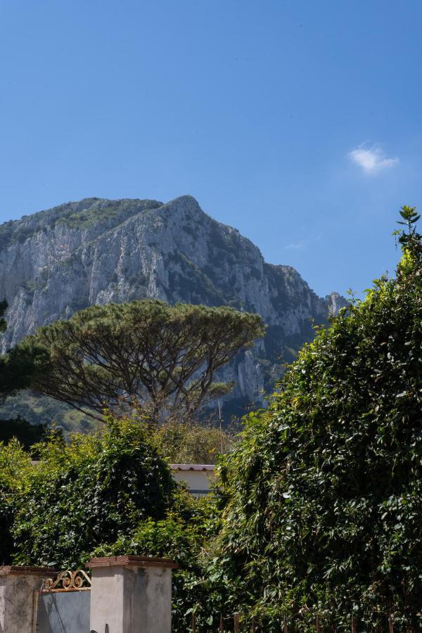 Il Sorriso Di Bri * Capri