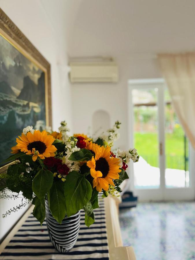Bed & Breakfast L'agapanto