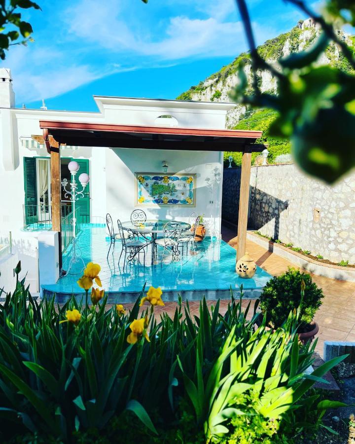 Bed & Breakfast L'agapanto