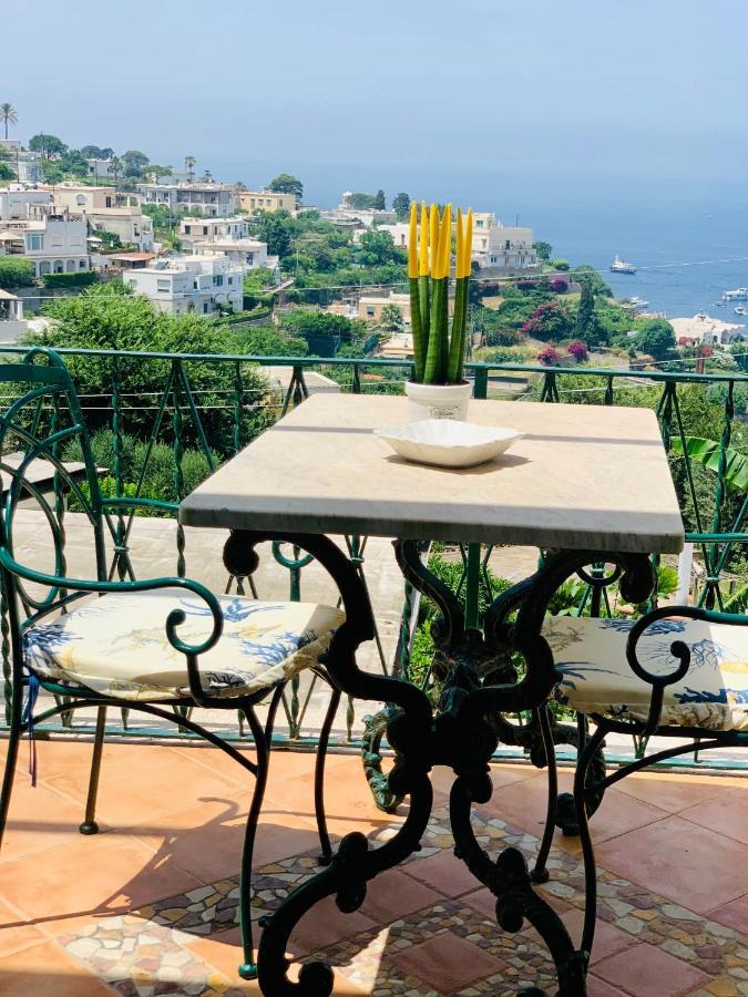 L'agapanto Capri