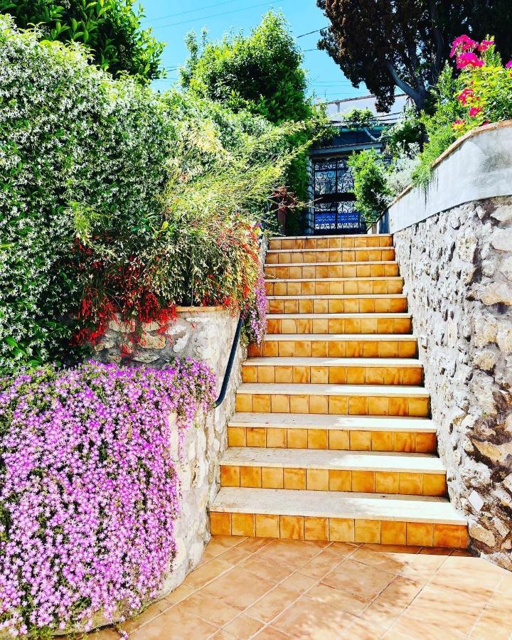 L'agapanto * Capri