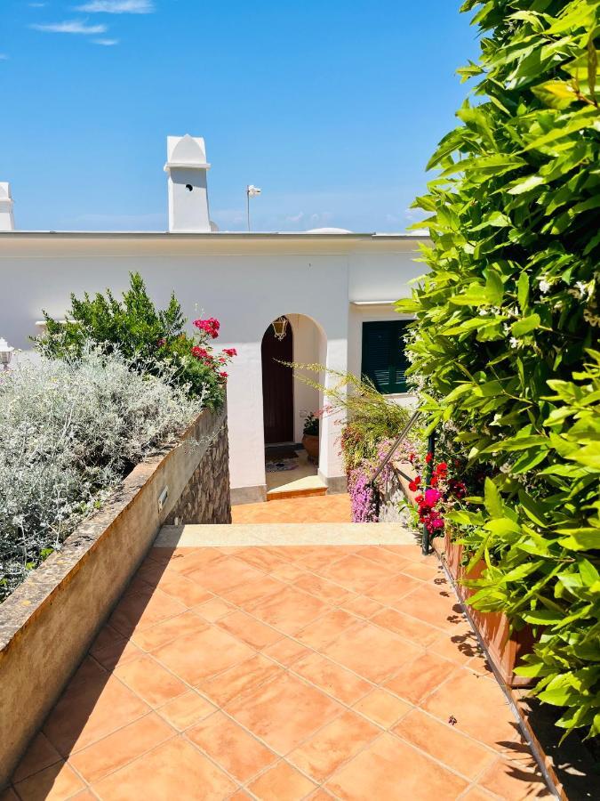 Bed & Breakfast L'agapanto Capri