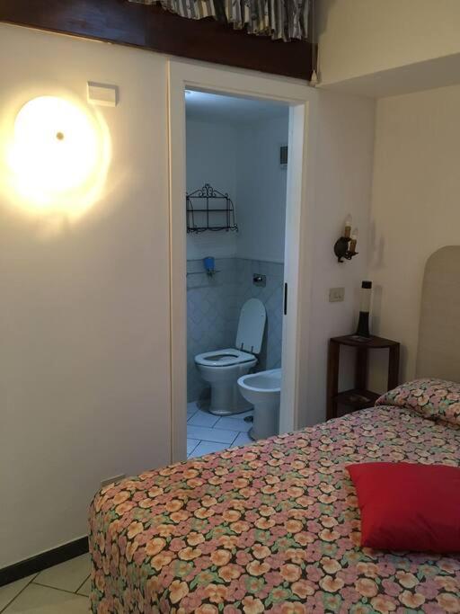 Apartment Casa