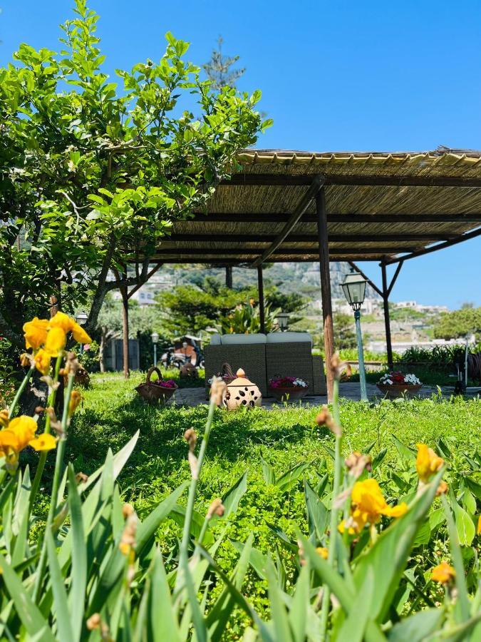 Bed & Breakfast L'agapanto