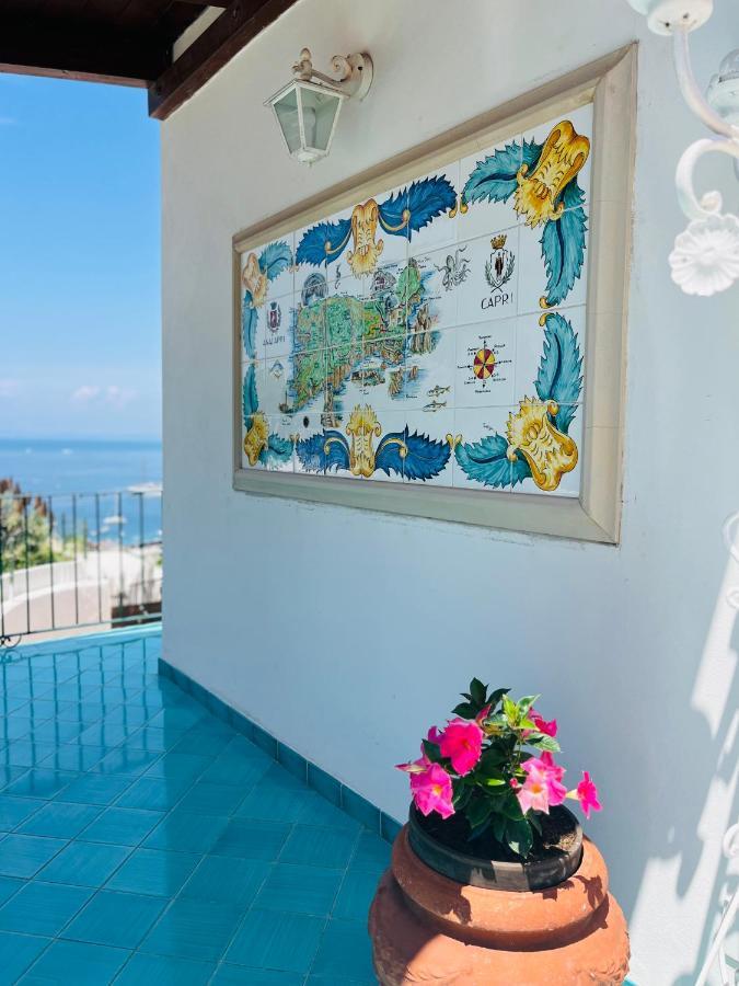 L'agapanto * Capri