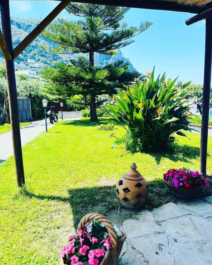 Bed & Breakfast L'agapanto Capri
