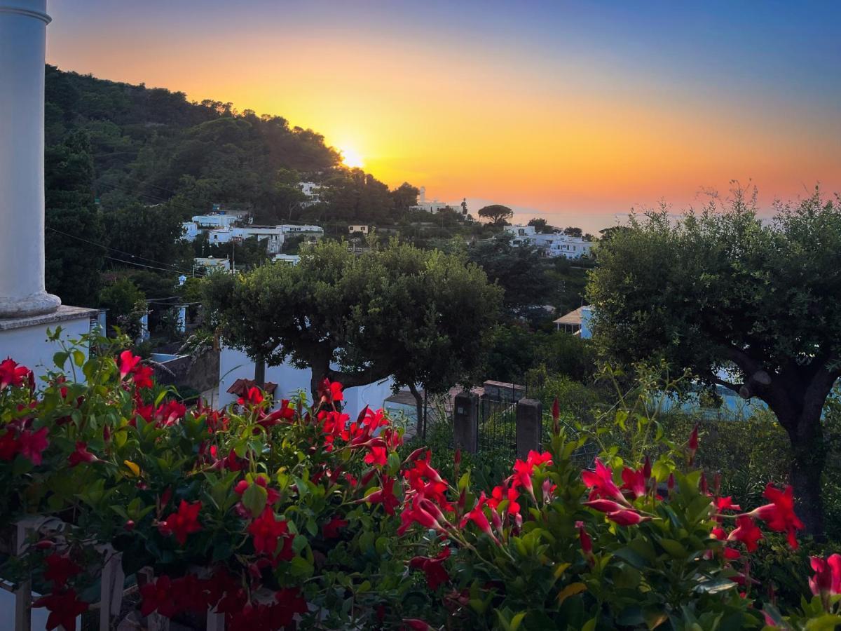 Domenicanda Villa