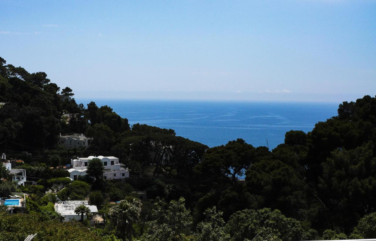 Bed & Breakfast Calypso 2*