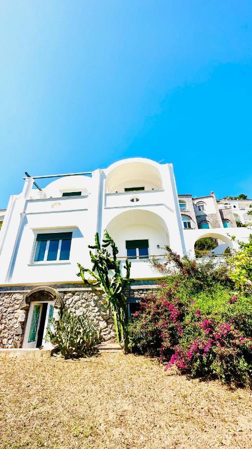 La Zagara By Caprirooms Capri