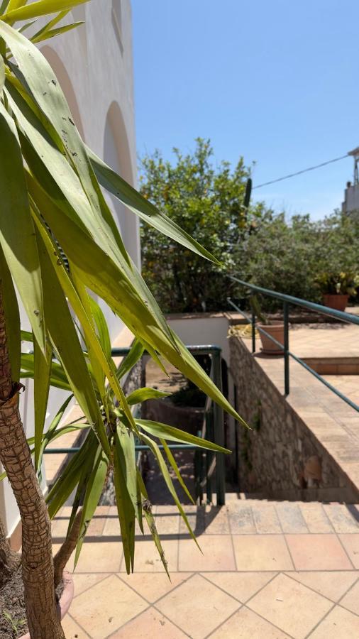 La Zagara By Caprirooms Gasthof Capri