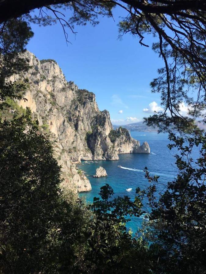 La Terrazza Sul Blu Di Holiday home