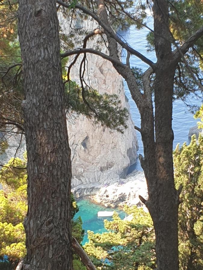 L'affresco Caprese * Capri