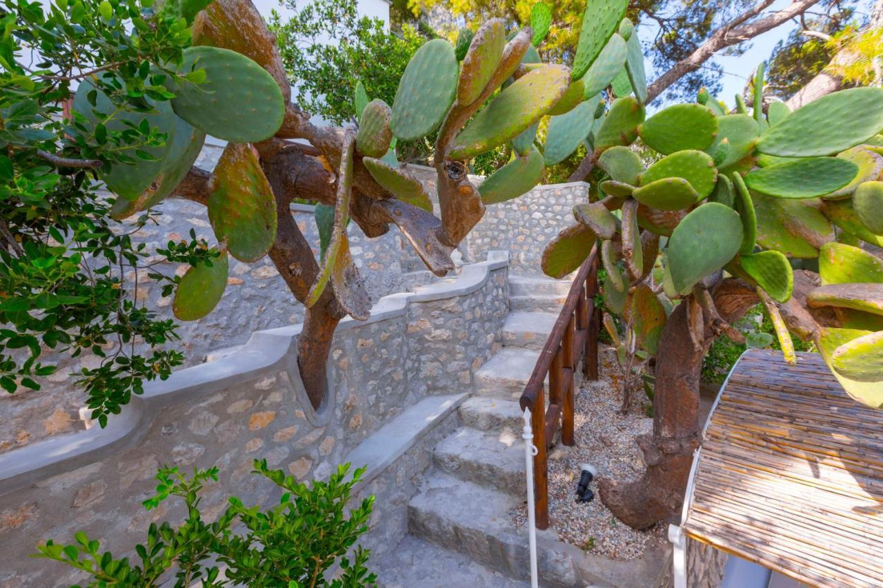 Villa Faraglionensis Monaconehouse *