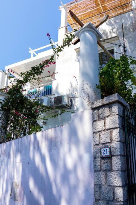 Apartment Blue Essence Capri