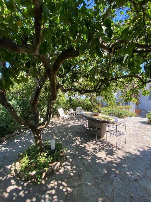 Villa Esclusiva: La Capperina Capri