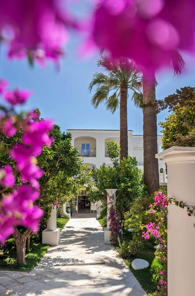 Hotel Pazziella Garden&suites 5*