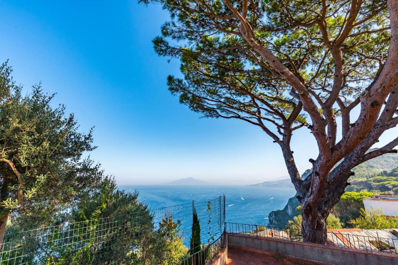 Turquoise By Napoliapartments Villa Capri