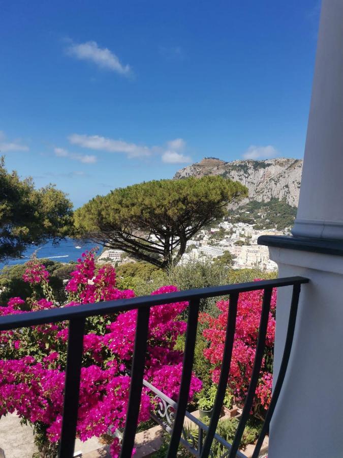 Marvelous Sea View
