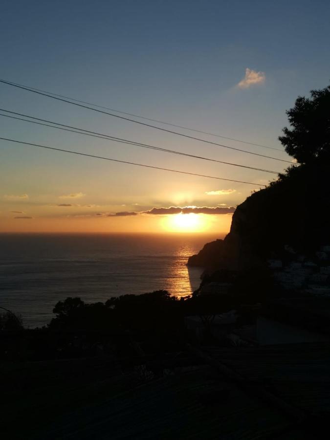 Apartment Marvelous Sea View *