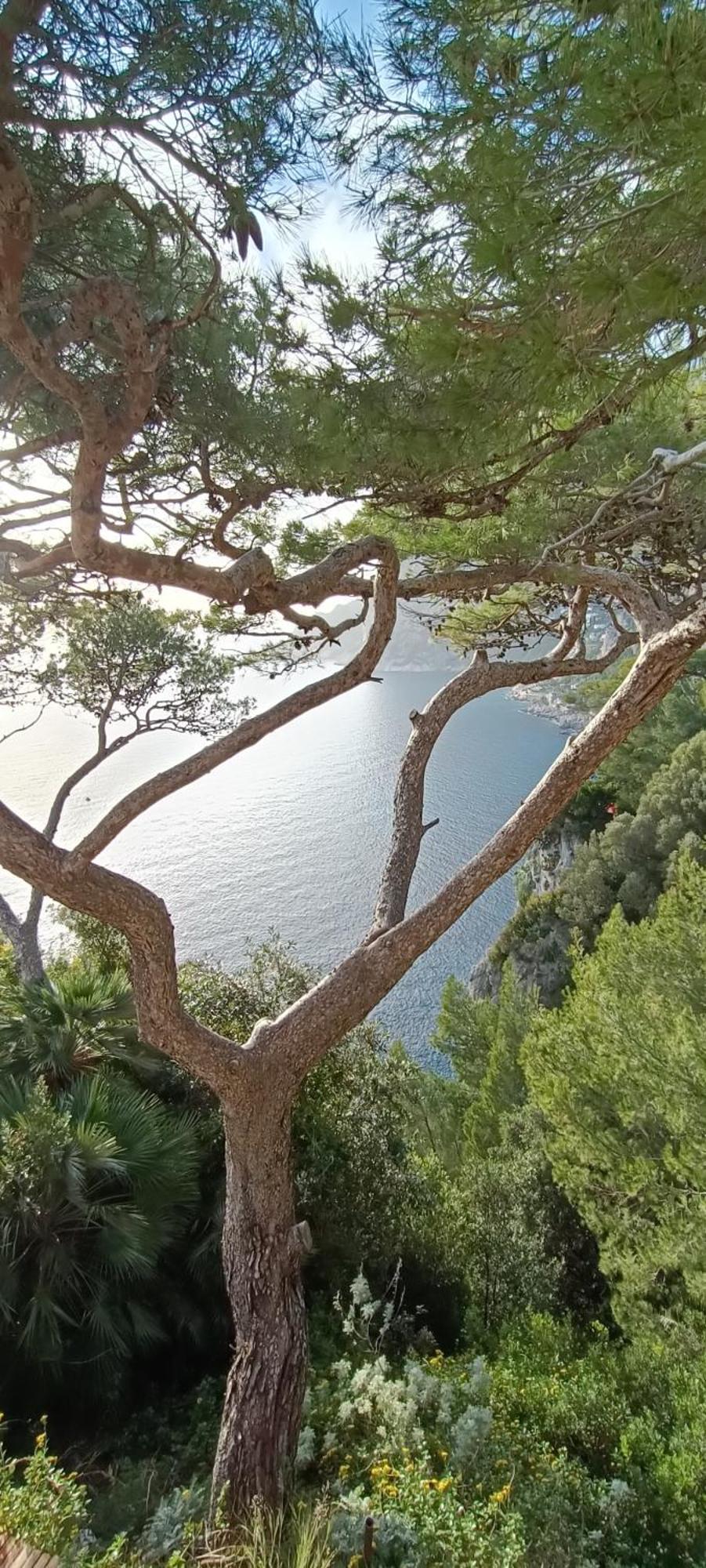 Apartment Maison Saint Michael Capri
