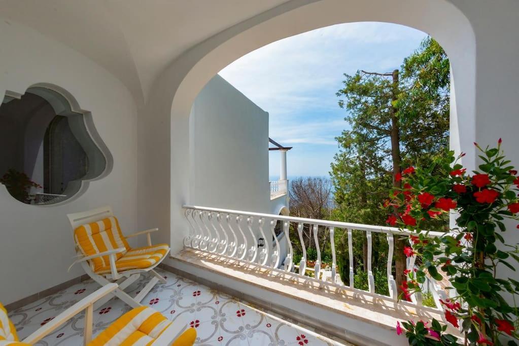 House Rosa Blu