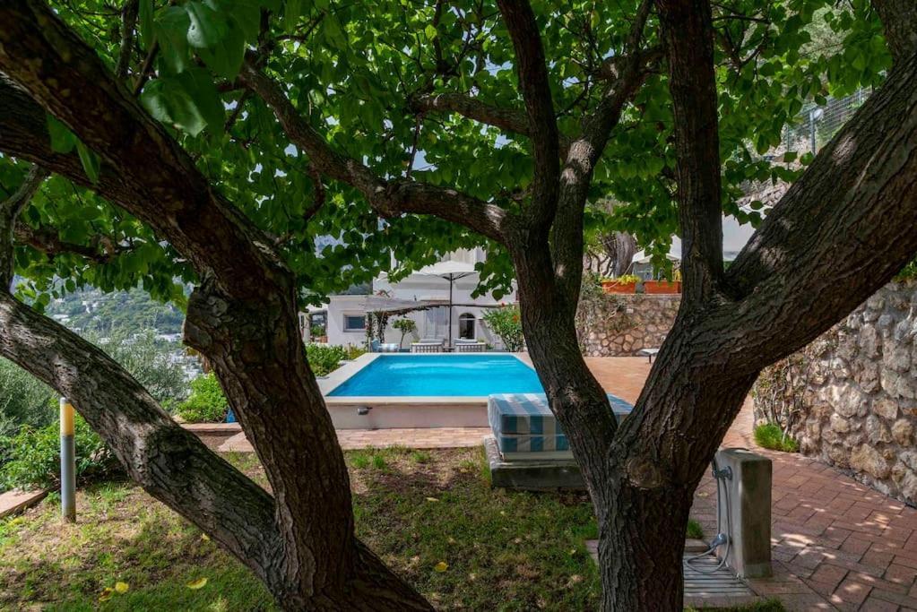 Casa vacanze Beautiful With View In The Heart Of