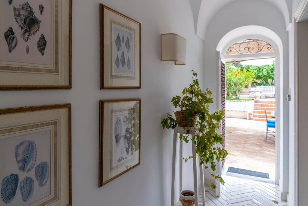 Beautiful With View In The Heart Of Casa vacanze *