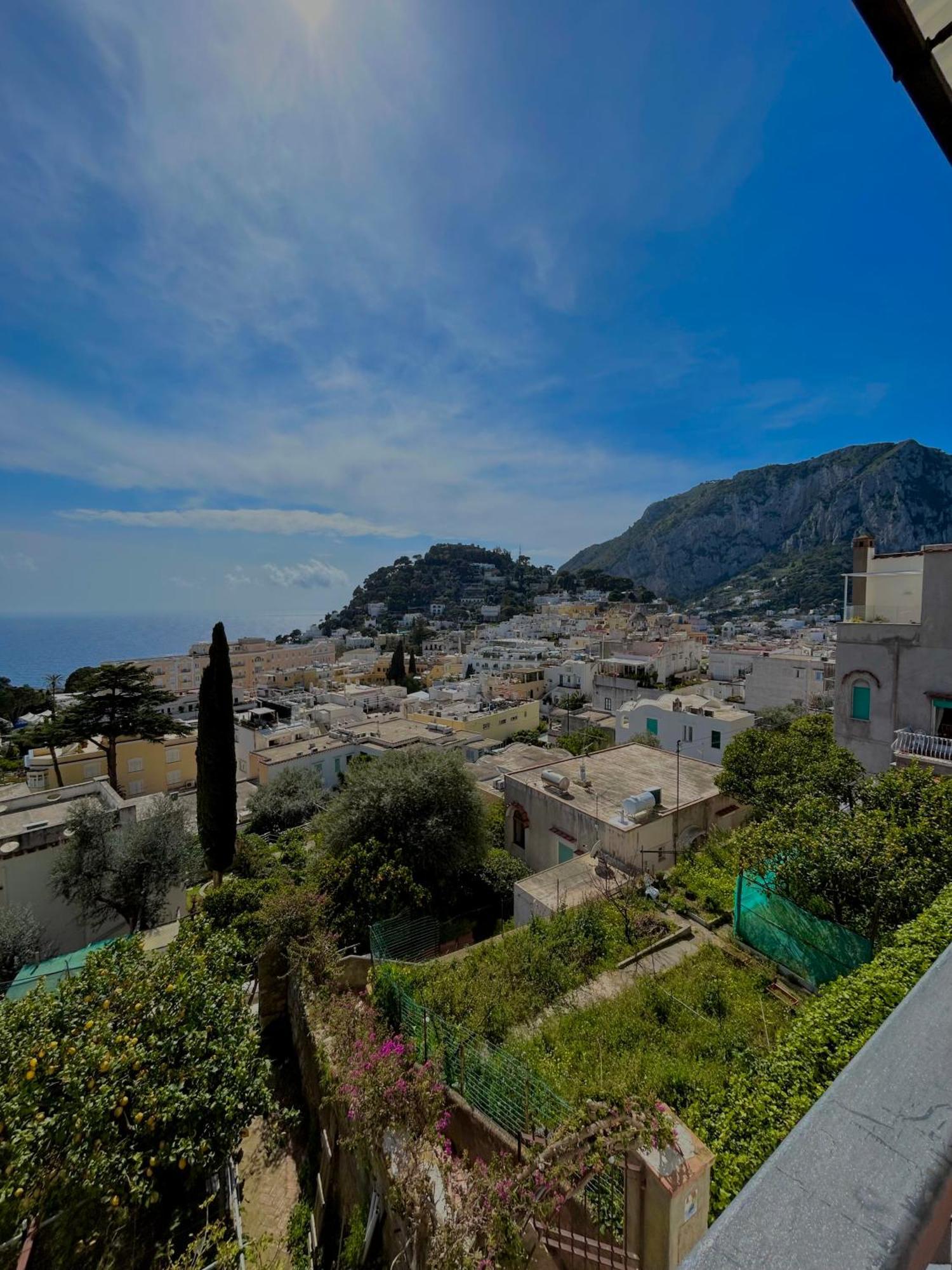 Dreams * Capri