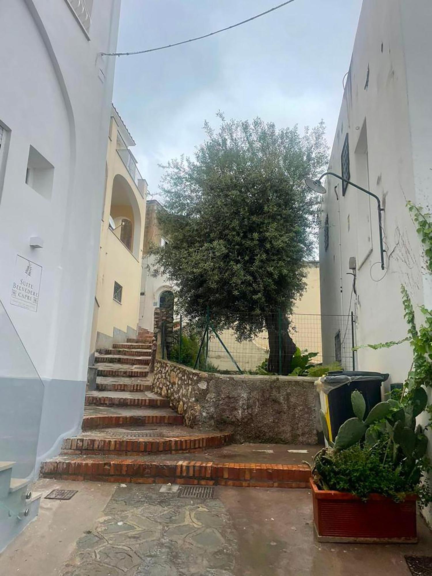 Dimora Bruno E Rubina Capri
